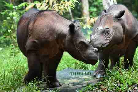 Foto kawasan TN Way Kambas