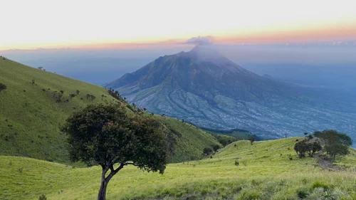 Foto kawasan TN Gunung Merbabu