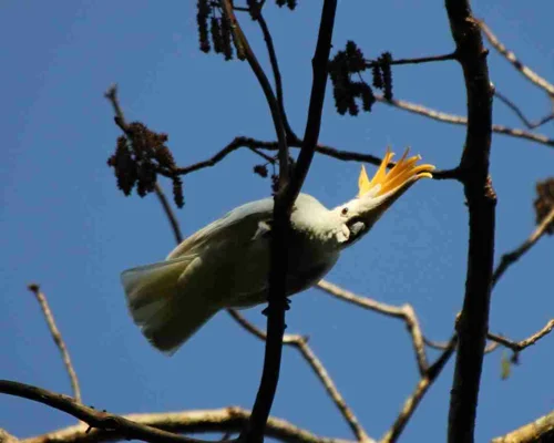 Foto kawasan TN Manupeu Tanah Daru