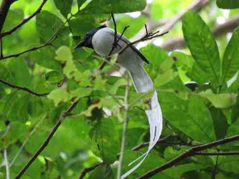 Foto kawasan TN Komodo