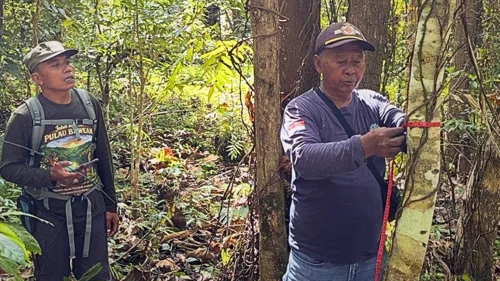 Banner Artikel Smart Patrol Bawean: Menjaga Hutan Dengan Data, Menguatkan Konservasi Bersama Masyarakat
