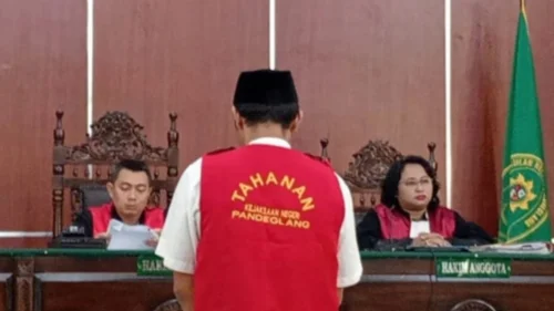 Banner Siaran Pers Putusan Persidangan: 10 Badak Jawa Menjadi Korban Perburuan Liar di Taman Nasional Ujung Kulon