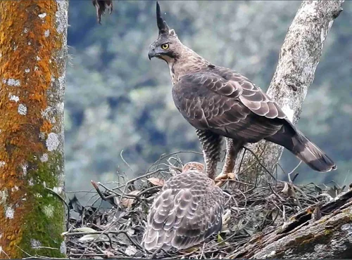 Foto kawasan TN Gunung Gede Pangrango