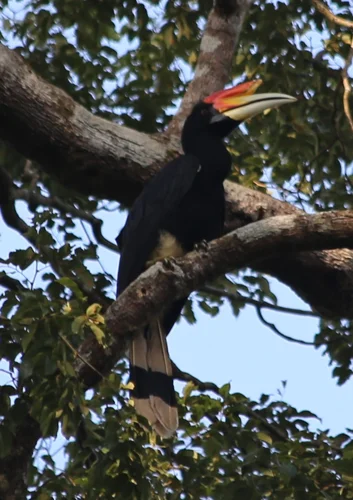 Foto kawasan TN Bukit Dua Belas