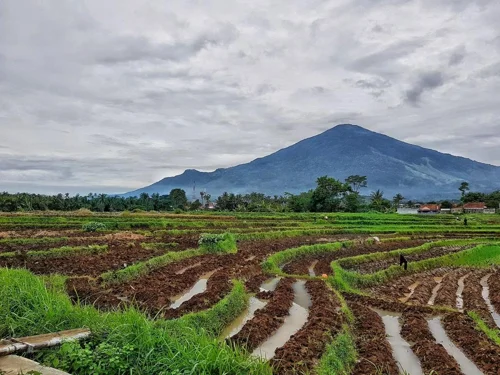 Foto kawasan TN Gunung Ciremai