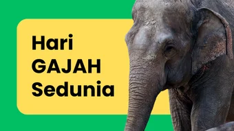 Banner kegiatan Hari Gajah Sedunia