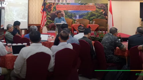 Banner Artikel BKSDA Kaltim Bersama Sabah Wildlife Department Gelar Workshop dan Field Trip di Tarakan
