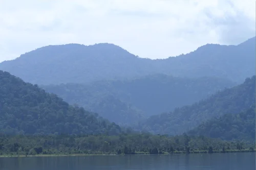 Foto kawasan TN Lore Lindu