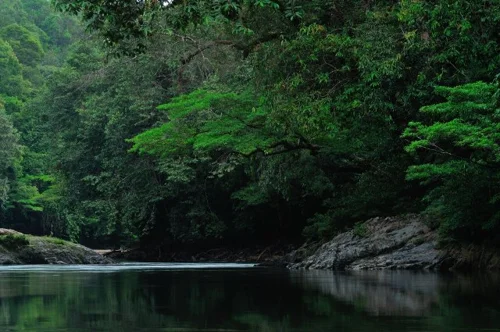 Foto kawasan TN Betung Kerihun