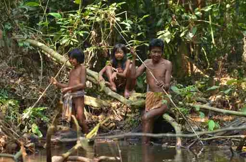 Foto kawasan TN Bukit Dua Belas