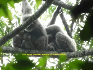 Banner Siaran Pers Warga Bodogol Bertambah Satu