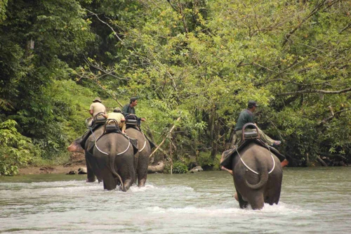 Foto kawasan TN Gunung Leuser