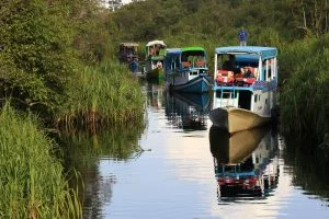 Foto kawasan TN Tanjung Puting