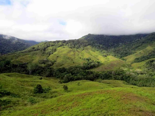 Foto kawasan TN Kayan Mentarang
