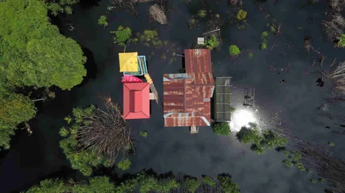 Foto kawasan TN Sebangau