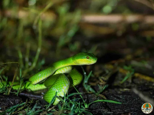 Foto kawasan TN Bali Barat