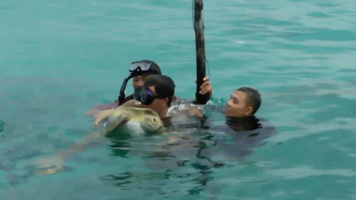 Foto kawasan TN Bunaken