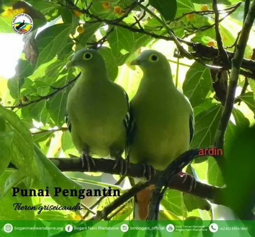 Foto kawasan TN Bogani Nani Wartabone