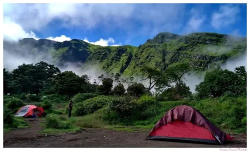 Foto kawasan TN Gunung Merbabu
