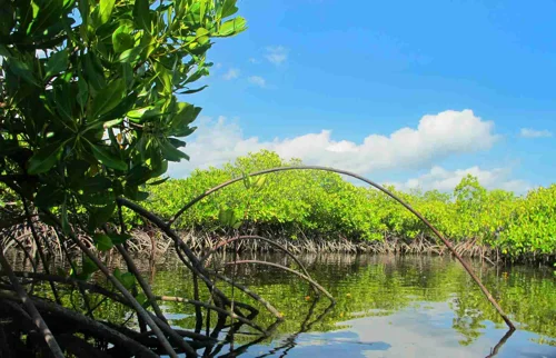 Foto kawasan TN Wakatobi