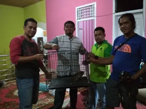Berita • Berkat Operasi TSL Si Tutul Berhasil Diselamatkan