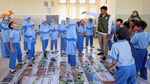 Banner Artikel Saat Papan Permainan Masuk Ruang Konservasi di Sumenep