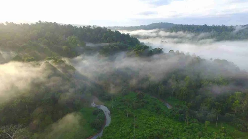 Foto kawasan TN Bukit Barisan Selatan