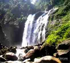 Foto kawasan TN Kerinci Seblat