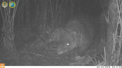 Foto kawasan TN Ujung Kulon