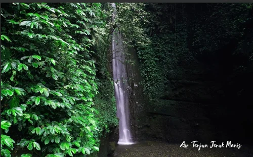Foto kawasan TN Gunung Rinjani