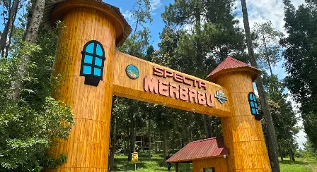 Foto kawasan TN Gunung Merbabu