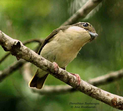Foto kawasan TN Bromo Tengger Semeru