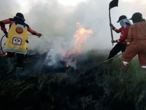Banner Siaran Pers Manggala Agni Kerja Keras Tanggulangi Karhutla