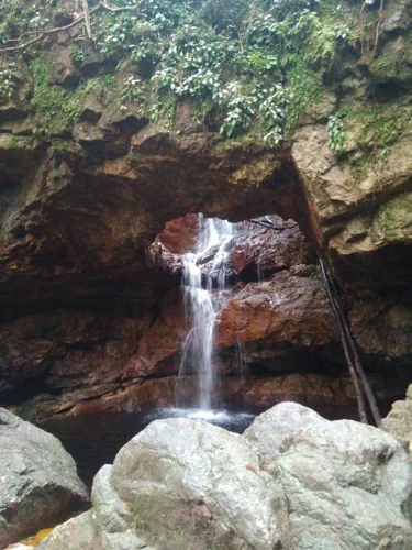 Foto kawasan TN Gunung Maras